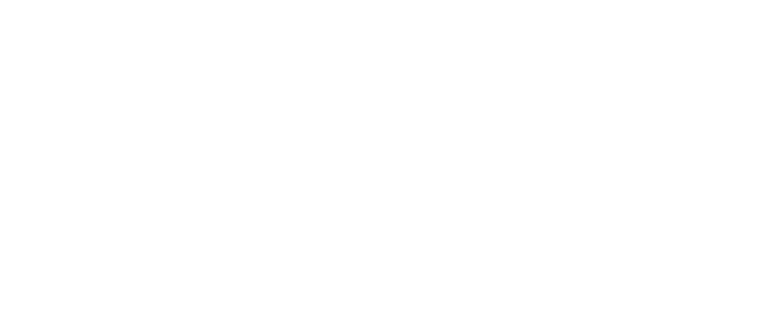 SelfSIA